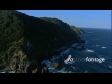 Cuvier Island 4 3460